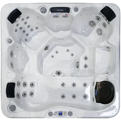Avalon EC-849L hot tubs for sale in Hollywood